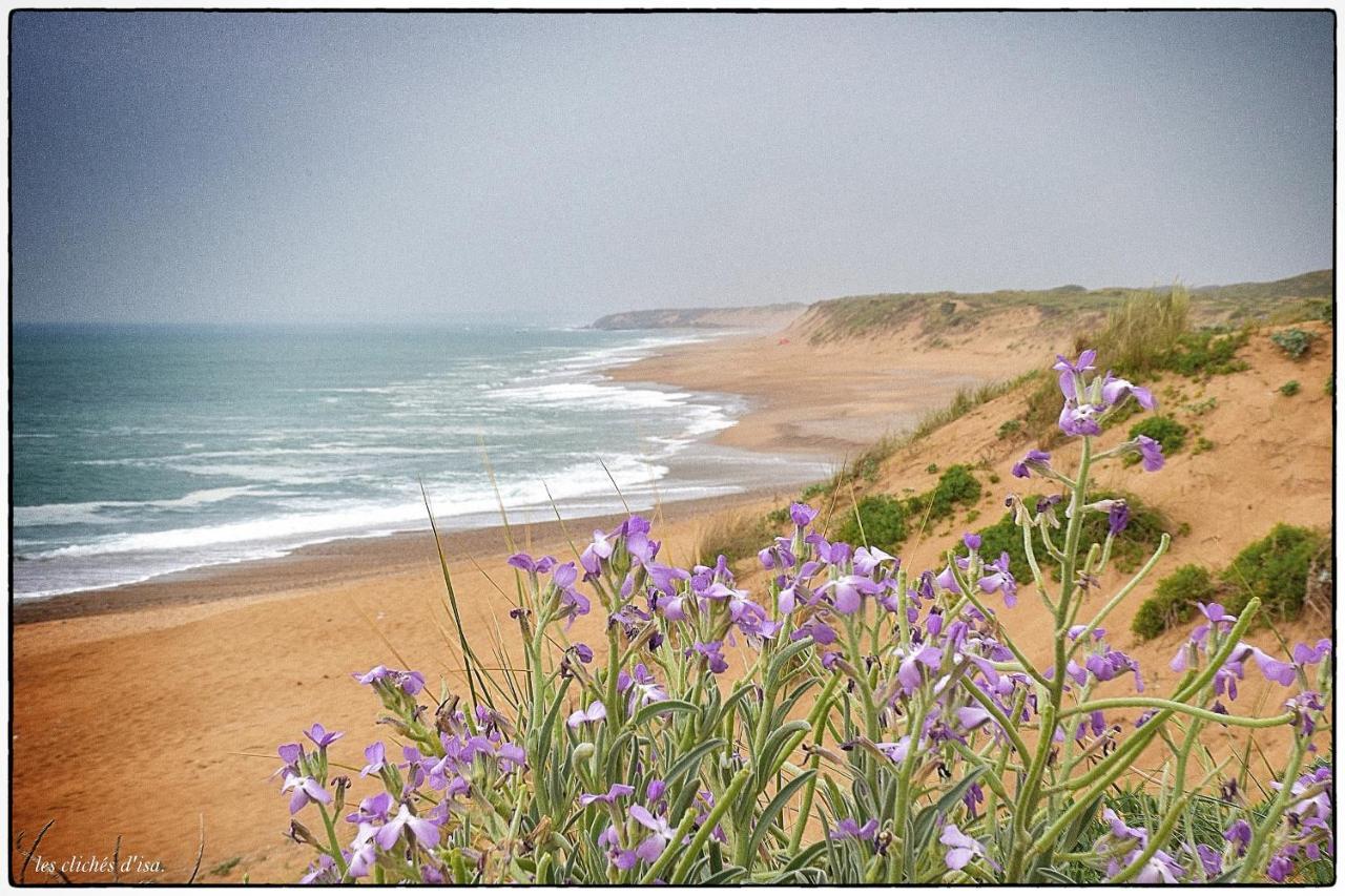 Le Calypso Daire Les Sables-dʼOlonne Dış mekan fotoğraf
